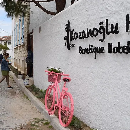 Kozanogluhan Alacati 3*