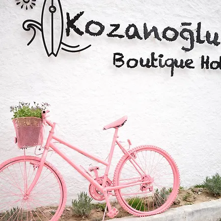 Kozanogluhan Alacati Hotel 3*